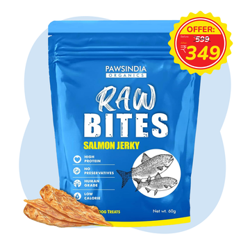 Raw Bites Organic Dehydrated - Salmon Jerky Premium Dog Treats